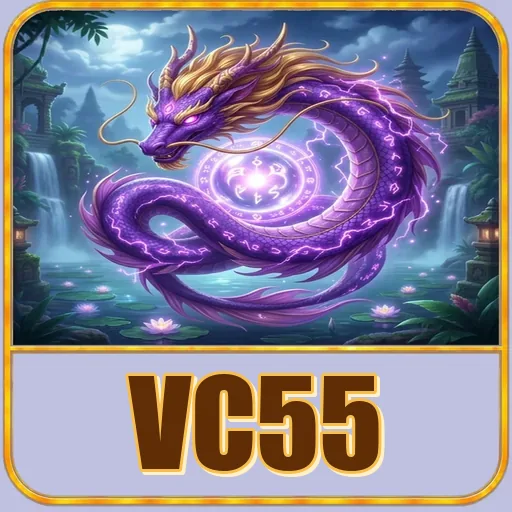 Troubleshooting vc55